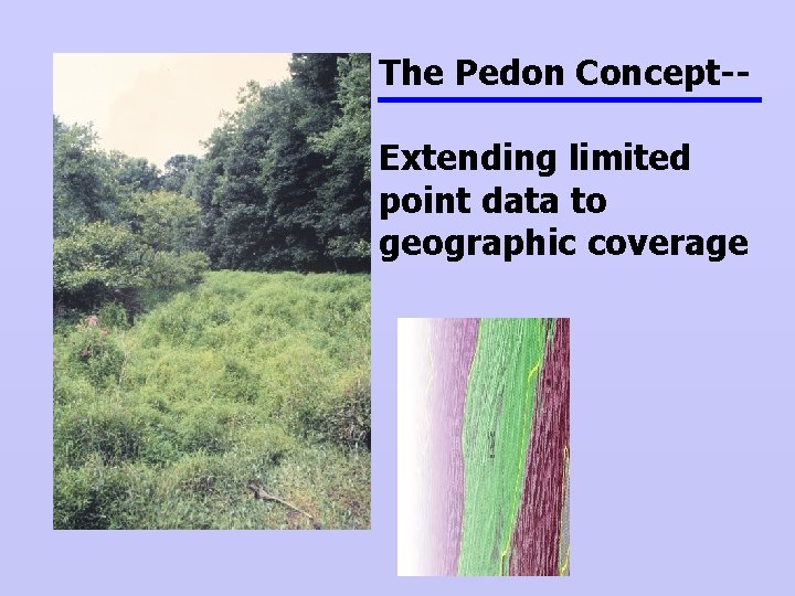 The Pedon Concept-Extending limited point data to geographic coverage 