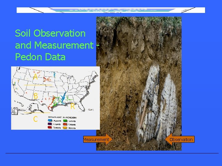 Soil Observation and Measurement Pedon Data A B R C Measurement Observation 