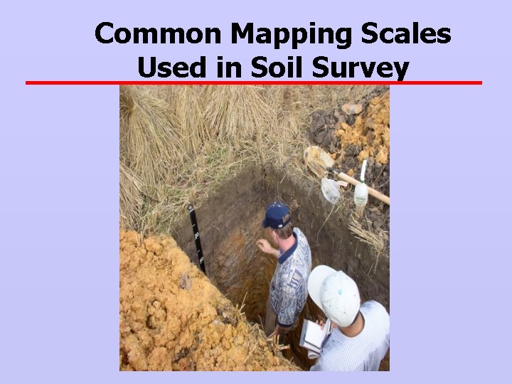 Common Mapping Scales Used in Soil Survey 