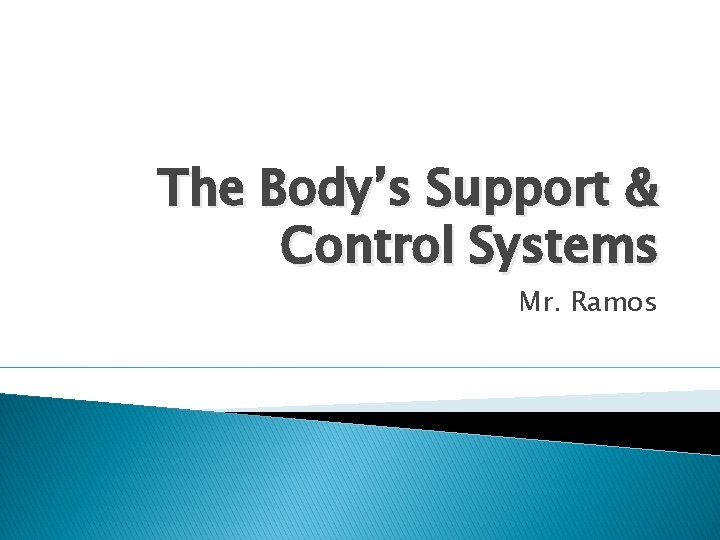 The Body’s Support & Control Systems Mr. Ramos 