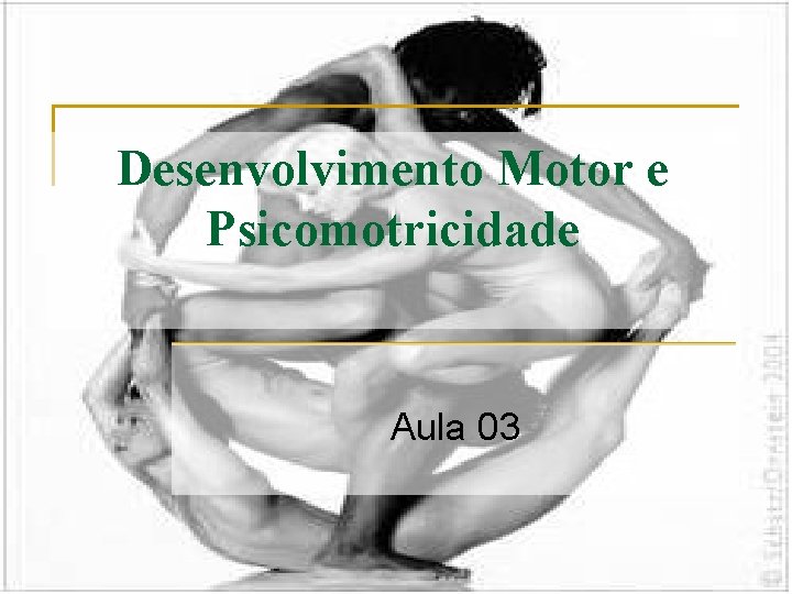 Desenvolvimento Motor e Psicomotricidade Aula 03 