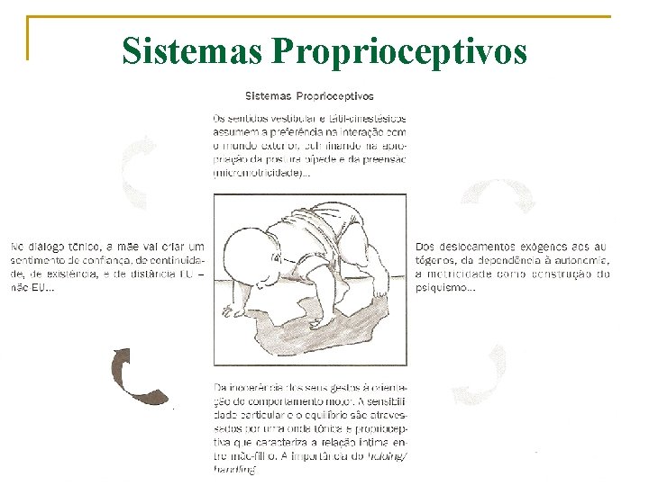 Sistemas Proprioceptivos 