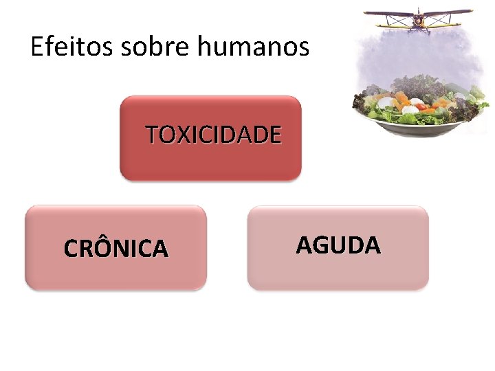 Efeitos sobre humanos TOXICIDADE CRÔNICA AGUDA 