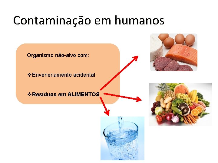 Contaminação em humanos Organismo não-alvo com: v. Envenenamento acidental v. Resíduos em ALIMENTOS 