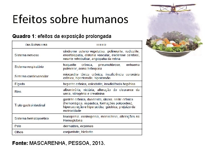 Efeitos sobre humanos Quadro 1: efeitos da exposição prolongada Fonte: MASCARENHA, PESSOA, 2013. 