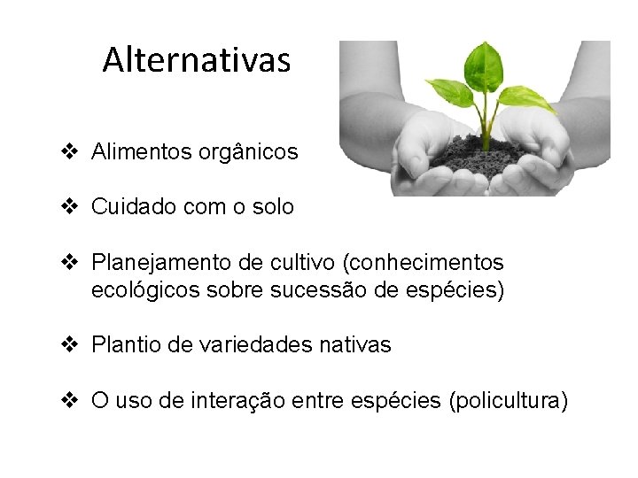 Alternativas v Alimentos orgânicos v Cuidado com o solo v Planejamento de cultivo (conhecimentos