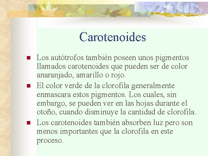 Carotenoides n n n Los autótrofos también poseen unos pigmentos llamados carotenoides que pueden