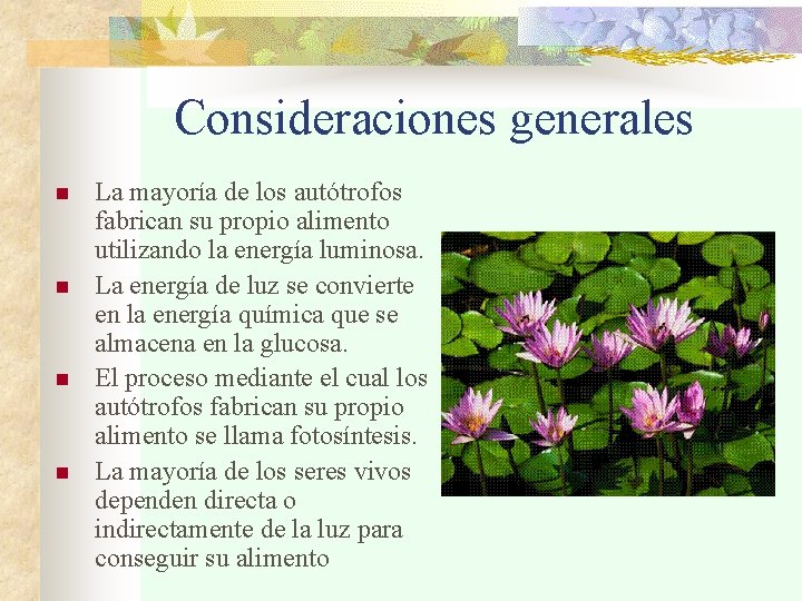 Consideraciones generales n n La mayoría de los autótrofos fabrican su propio alimento utilizando