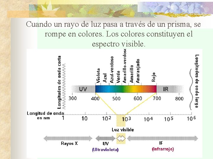 Cuando un rayo de luz pasa a través de un prisma, se rompe en
