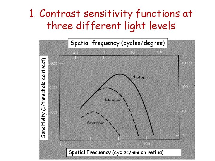 1. Contrast sensitivity functions at three different light levels Sensitivity (1/threshold contrast) Spatial frequency