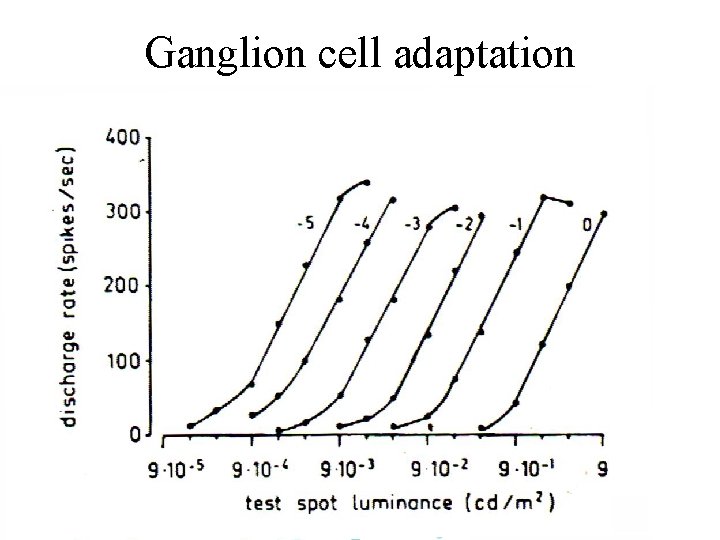 Ganglion cell adaptation 