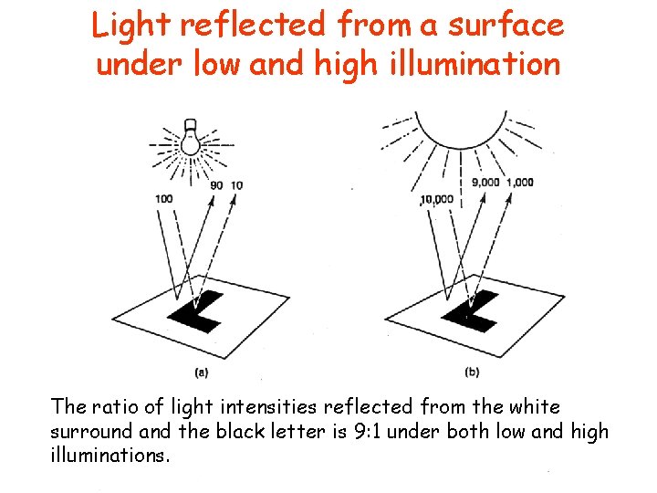 Light reflected from a surface under low and high illumination The ratio of light
