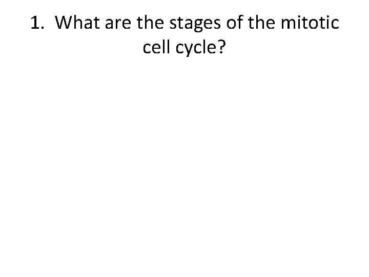 1. What are the stages of the mitotic cell cycle? 