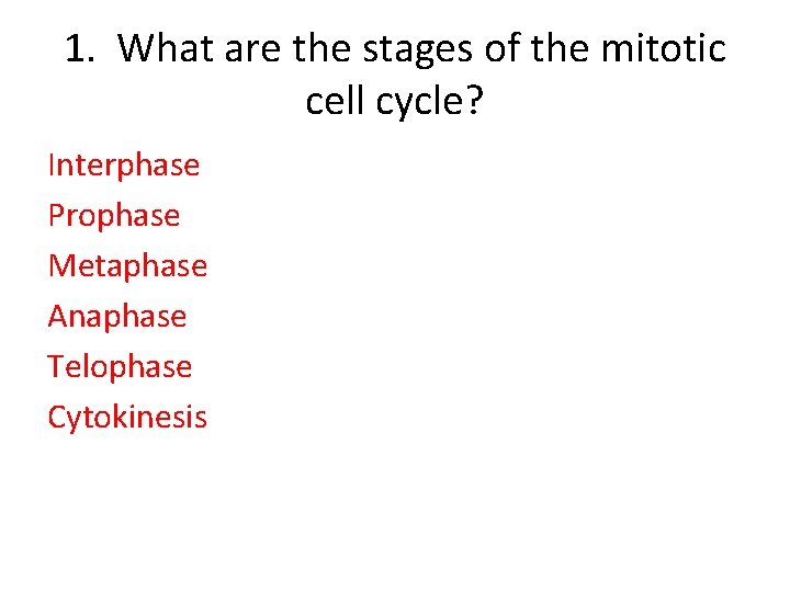 1. What are the stages of the mitotic cell cycle? Interphase Prophase Metaphase Anaphase