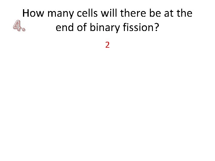 How many cells will there be at the 4. end of binary fission? 2