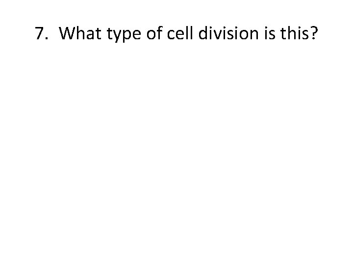 7. What type of cell division is this? 