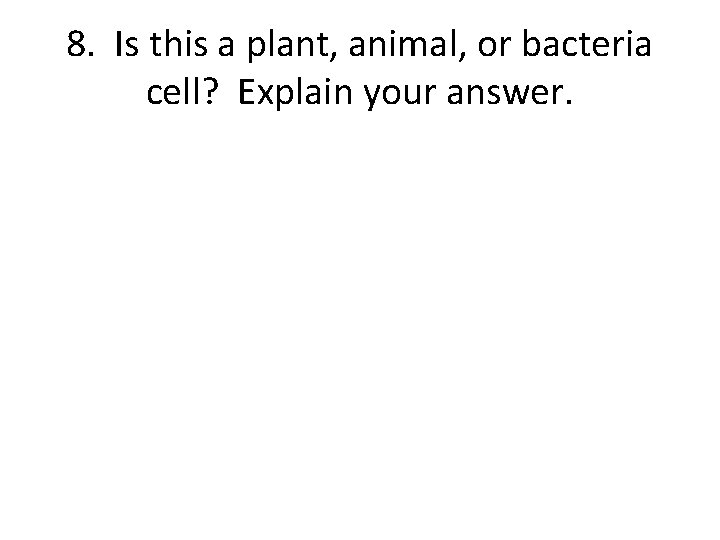 8. Is this a plant, animal, or bacteria cell? Explain your answer. 