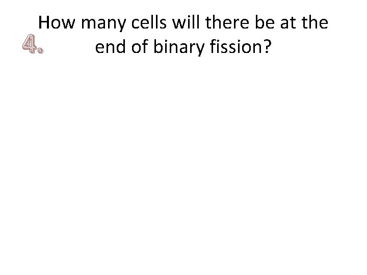 How many cells will there be at the 4. end of binary fission? 
