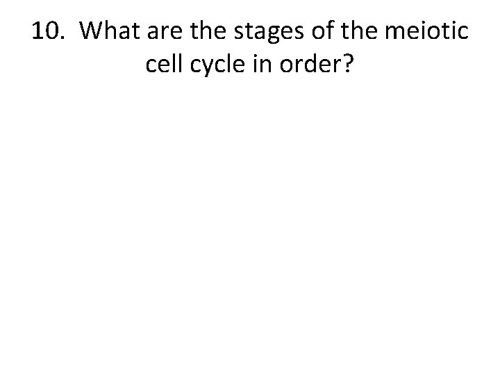 10. What are the stages of the meiotic cell cycle in order? 