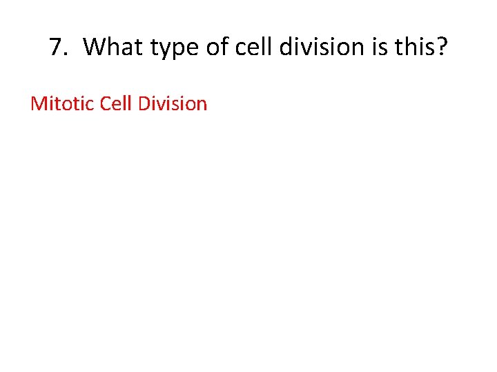 7. What type of cell division is this? Mitotic Cell Division 