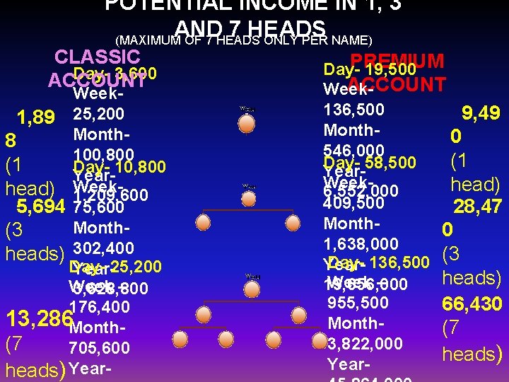 POTENTIAL INCOME IN 1, 3 AND 7 HEADS (MAXIMUM OF 7 HEADS ONLY PER POTENTIAL INCOME IN 1, 3 AND 7 HEADS (MAXIMUM OF 7 HEADS ONLY PER