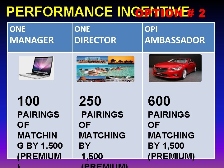 PERFORMANCE INCENTIVE OPTION # 2 ONE MANAGER ONE DIRECTOR OPI AMBASSADOR 100 250 600 PERFORMANCE INCENTIVE OPTION # 2 ONE MANAGER ONE DIRECTOR OPI AMBASSADOR 100 250 600