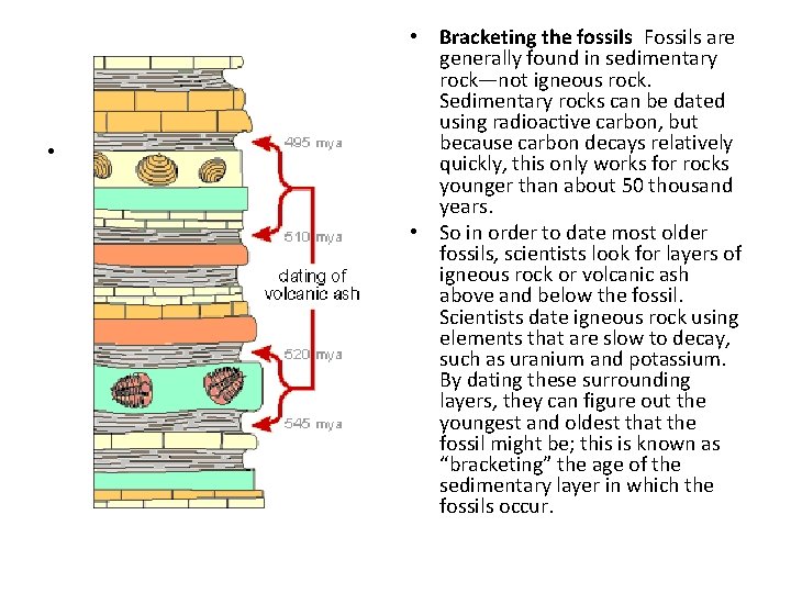  • • Bracketing the fossils Fossils are generally found in sedimentary rock—not igneous rock.