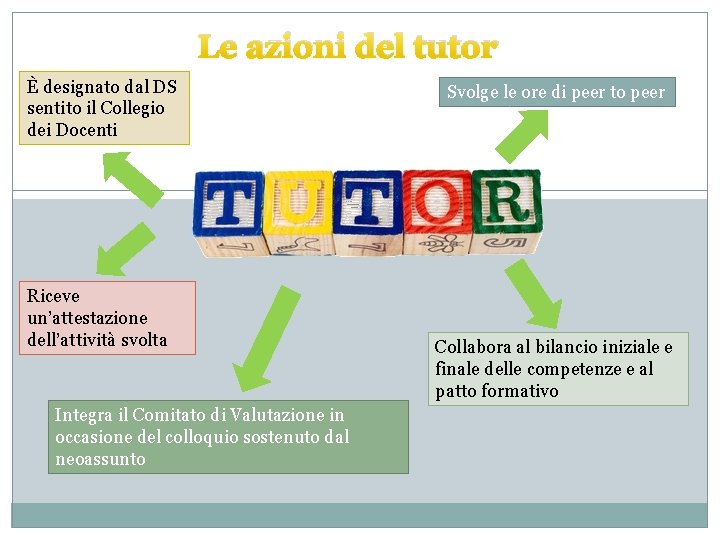 Le azioni del tutor È designato dal DS sentito il Collegio dei Docenti Riceve