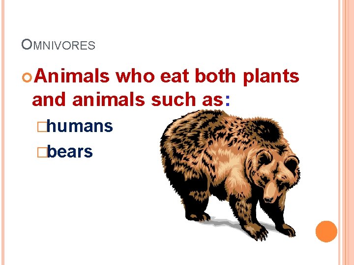 OMNIVORES Animals who eat both plants and animals such as: �humans �bears 