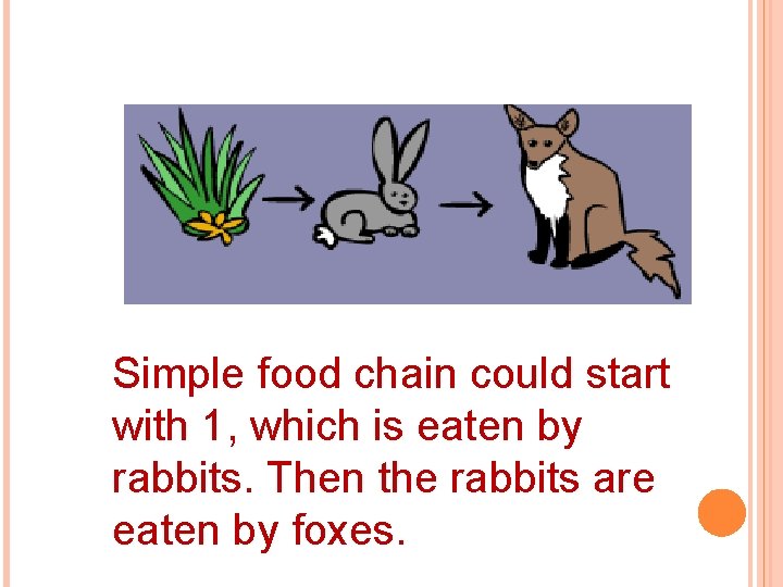 Simple food chain could start with 1, which is eaten by rabbits. Then the