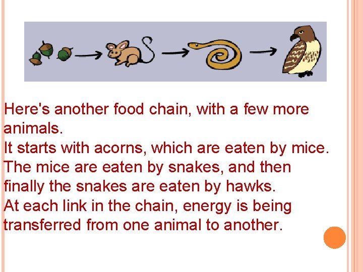 BIGGER FOOD CHAINS Here's another food chain, with a few more animals. It starts