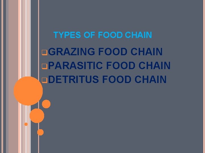 TYPES OF FOOD CHAIN q. GRAZING FOOD CHAIN q. PARASITIC FOOD CHAIN q. DETRITUS