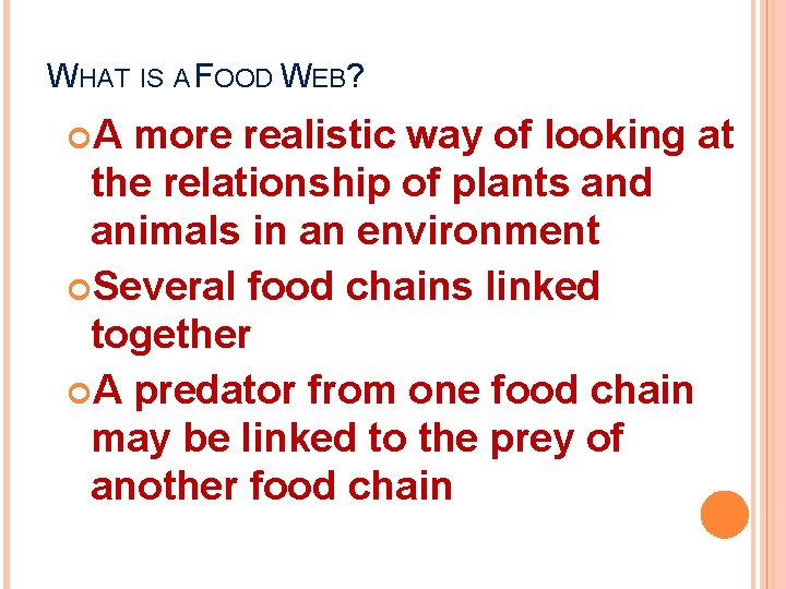 WHAT IS A FOOD WEB? A more realistic way of looking at the relationship