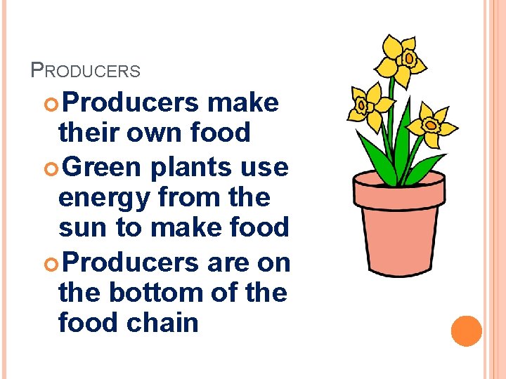 PRODUCERS Producers make their own food Green plants use energy from the sun to