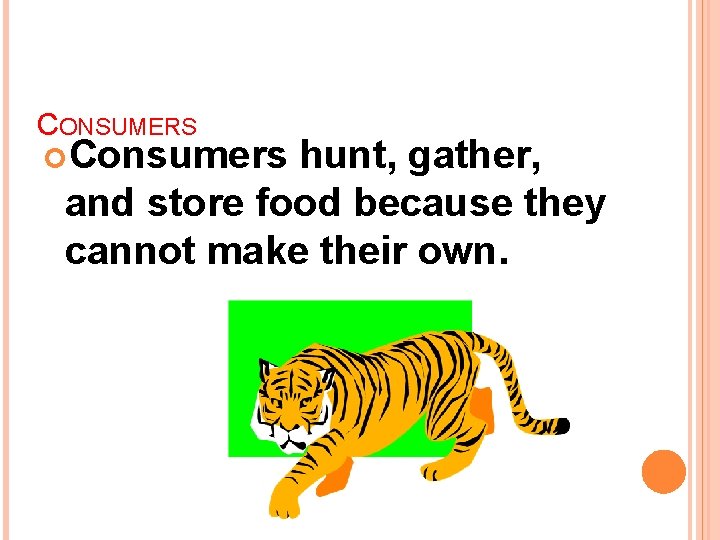 CONSUMERS Consumers hunt, gather, and store food because they cannot make their own. 