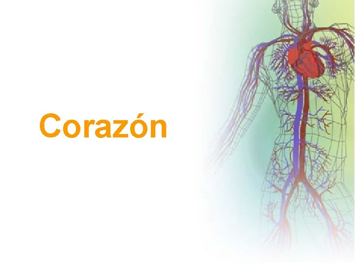 Corazón 