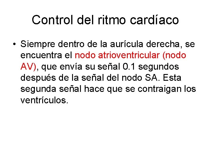 Control del ritmo cardíaco • Siempre dentro de la aurícula derecha, se encuentra el