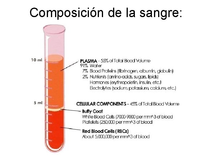 Composición de la sangre: 