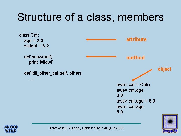 Structure of a class, members class Cat: age = 3. 0 weight = 5.