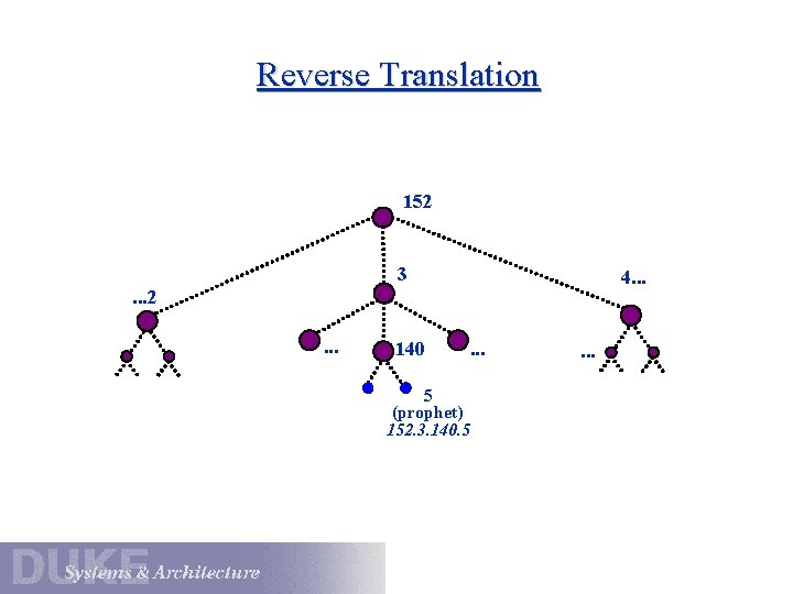 Reverse Translation 152 3 4. . . 2. . . 140 5 (prophet) 152.