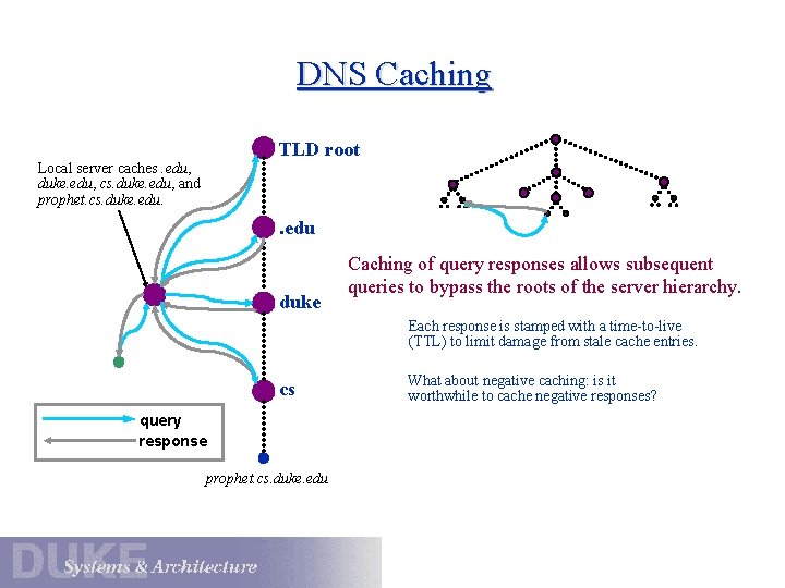 DNS Caching TLD root Local server caches. edu, duke. edu, cs. duke. edu, and