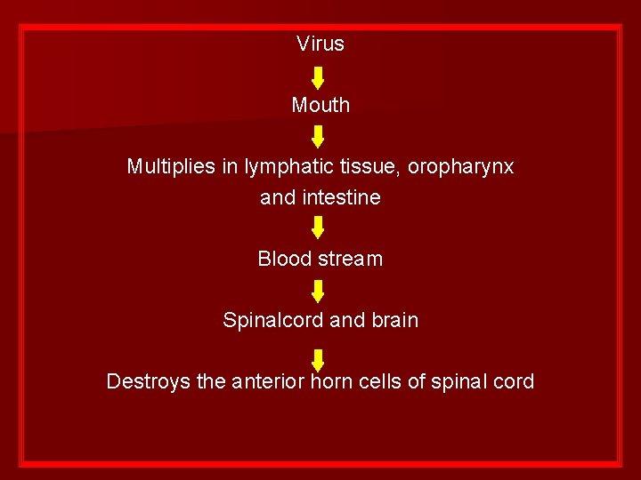 Virus Mouth Multiplies in lymphatic tissue, oropharynx and intestine Blood stream Spinalcord and brain