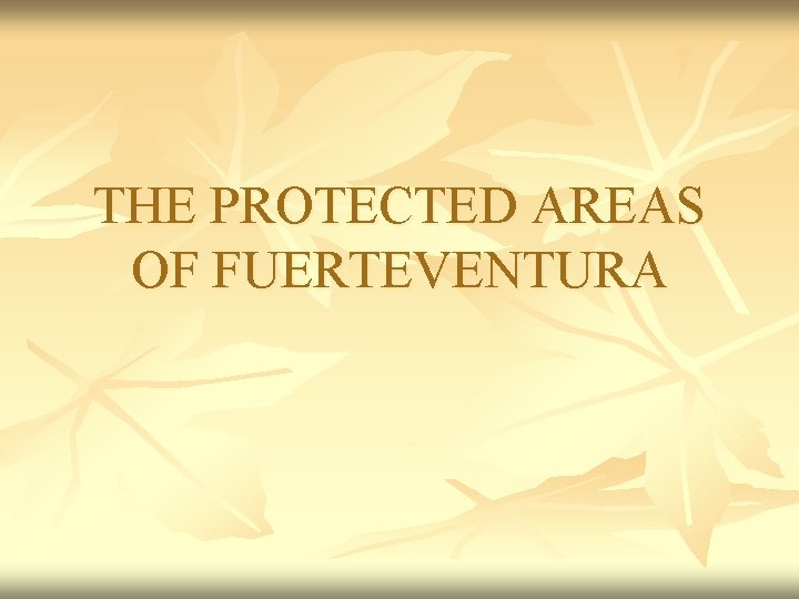 THE PROTECTED AREAS OF FUERTEVENTURA 