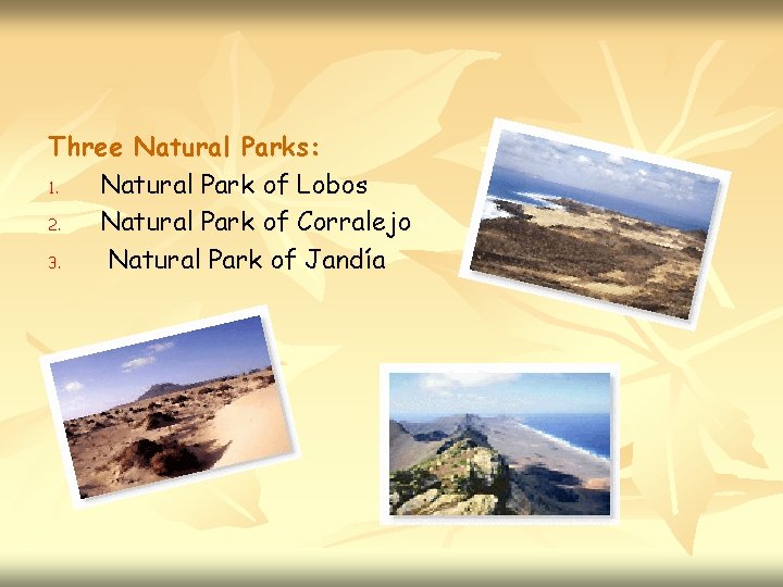 Three Natural Parks: 1. Natural Park of Lobos 2. Natural Park of Corralejo 3.