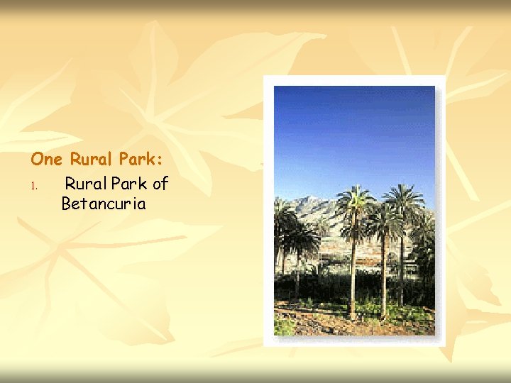 One Rural Park: 1. Rural Park of Betancuria 