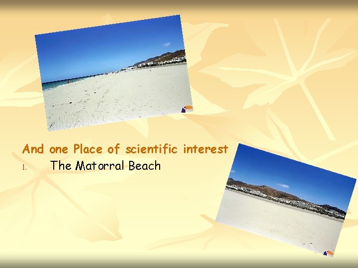 And one Place of scientific interest 1. The Matorral Beach 