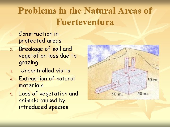 Problems in the Natural Areas of Fuerteventura 1. 2. 3. 4. 5. Construction in