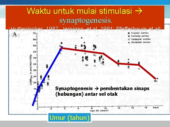 Waktu untuk mulai stimulasi synaptogenesis. §Huttenlocher, 1987; Jernigan, et al, 1991; Pfefferbaum et all,