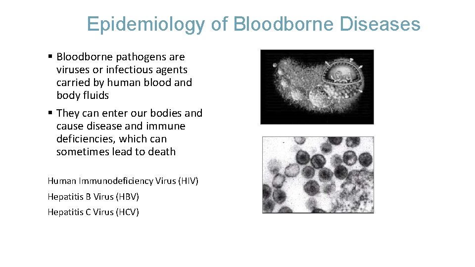 Epidemiology of Bloodborne Diseases § Bloodborne pathogens are viruses or infectious agents carried by