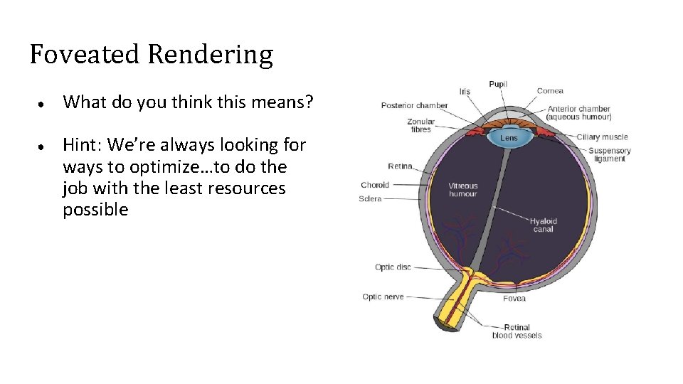 Foveated Rendering ● ● What do you think this means? Hint: We’re always looking